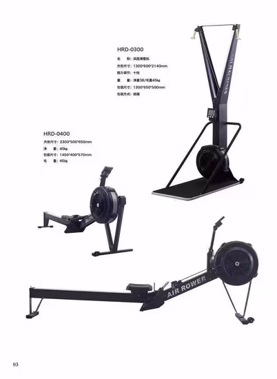 Hot Sale Cardio Rower Home Gym Fitness Sport Machine Air Rowing Equipment