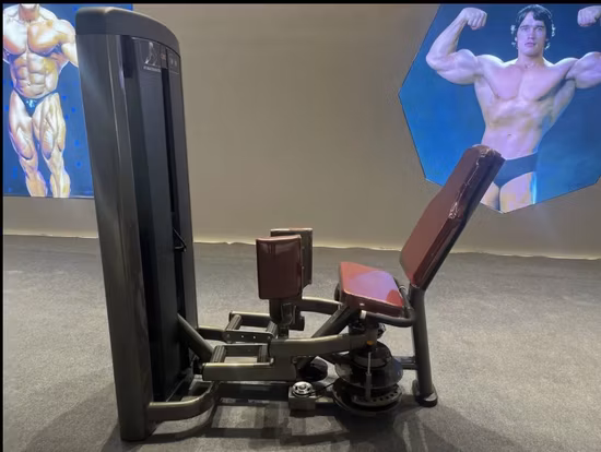 360h01 Sports Equipment Group Training 360 Synergy Fitness Gym Equipment 360h01