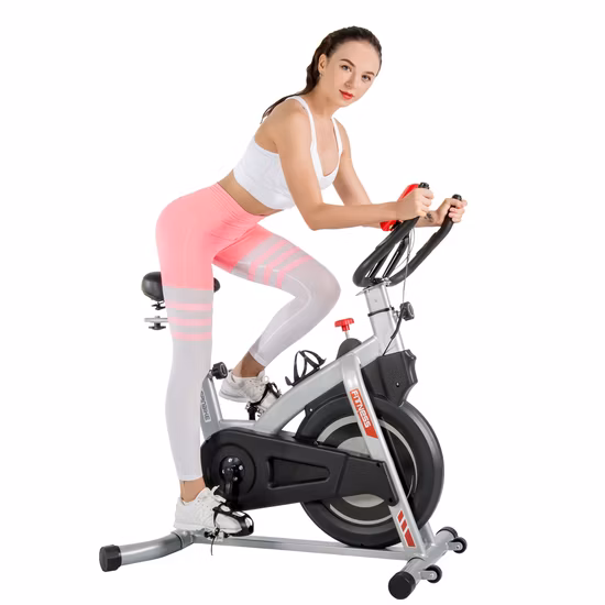 Bicicleta estática de spinning profesional para uso doméstico
